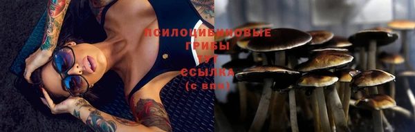 гашишное масло Осташков