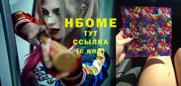 молекула духа Билибино