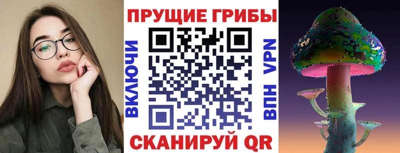 ссылка на мегу ссылки  Удачный  Псилоцибиновые грибы GOLDEN TEACHER 