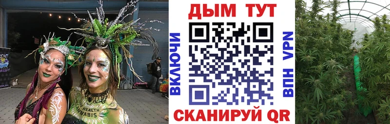 omg вход  Удачный  Канабис White Widow 